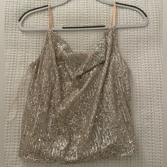 Endless Rose Sequin Camisole - Picture 3 of 4